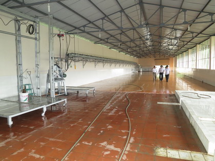 Một trong những khu vực tập trung chế biến gia súc của công ty Hoàng Long