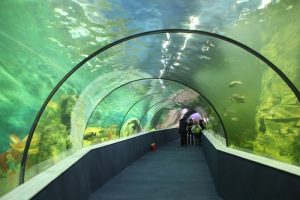 Dự án thủy cung đại dương tại Times City Hà Nội