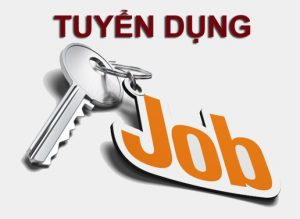 TIN TUYỂN DỤNG - HVC GROUP tuyển dụng nhân viên dự toán