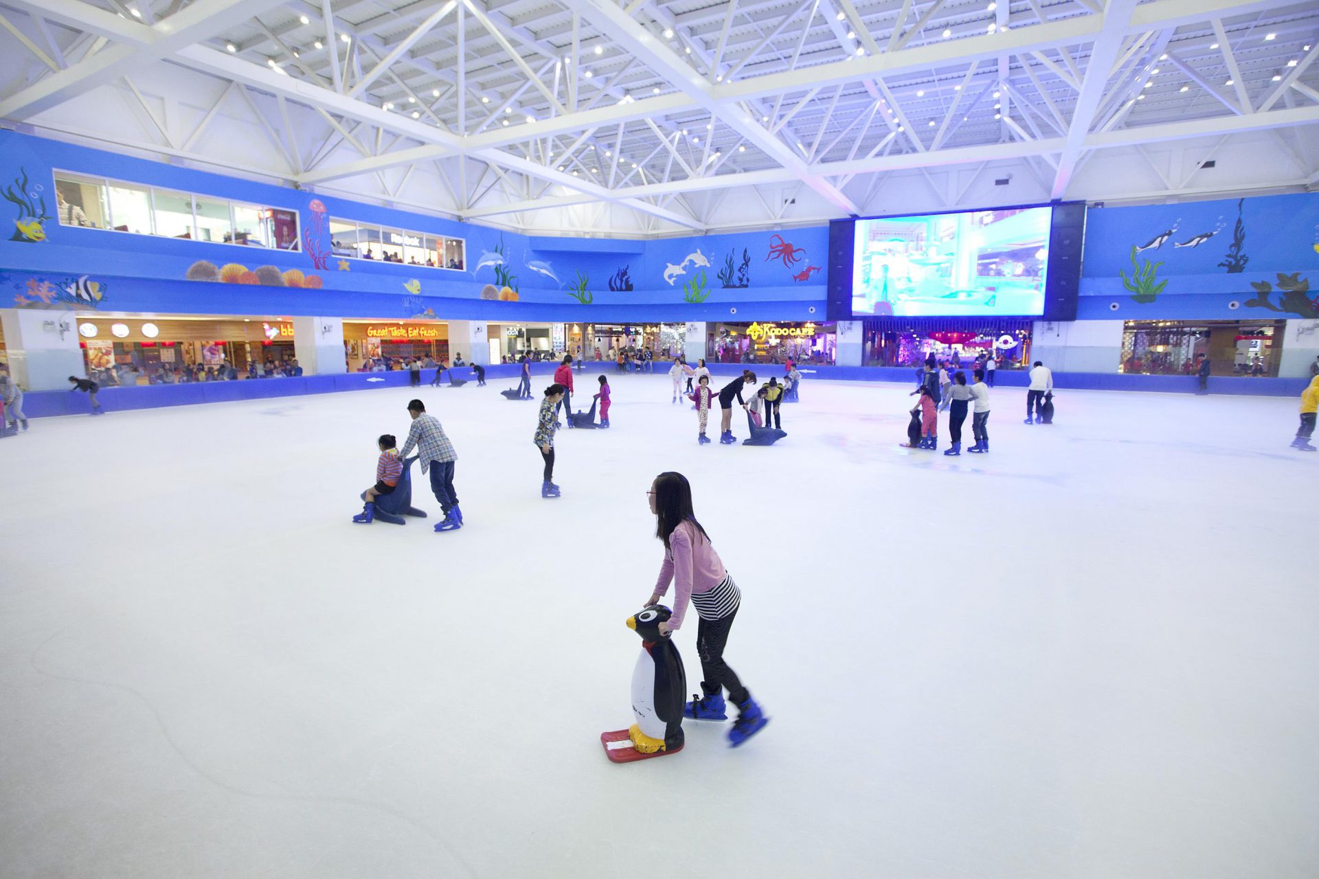 Design and construction of ice skating rink