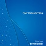 BÁO CÁO THƯỜNG NIÊN HVC NĂM 2019